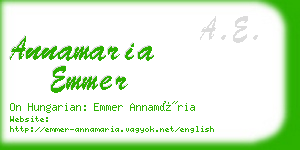 annamaria emmer business card